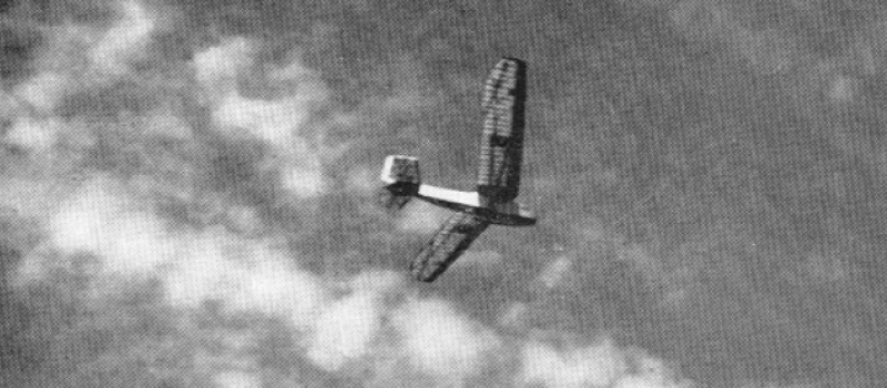 falke_im-flug falke_im-flug